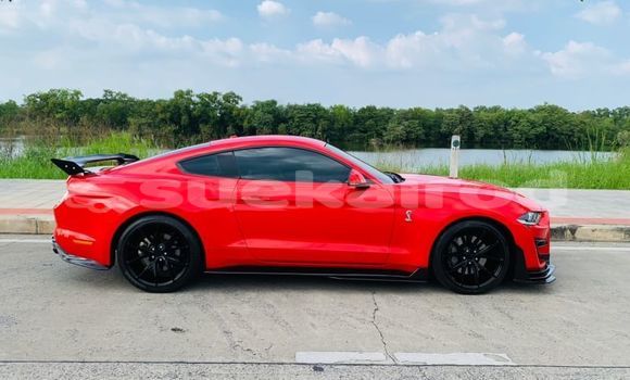 Buy Used Ford Mustang Red Car in Bangkok in Bangkok Buy Used Ford Mustang Red Car in Bangkok in Bangkok