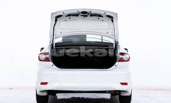 Buy Used Toyota Altis White Car in Bangkok in Bangkok Buy Used Toyota Altis White Car in Bangkok in Bangkok
