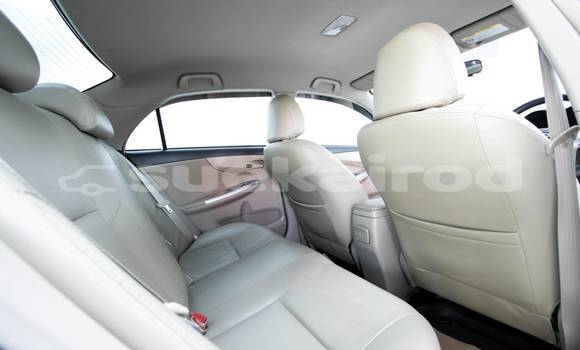 Buy Used Toyota Altis White Car in Bangkok in Bangkok Buy Used Toyota Altis White Car in Bangkok in Bangkok