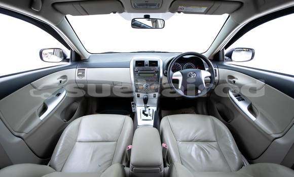 Buy Used Toyota Altis White Car in Bangkok in Bangkok Buy Used Toyota Altis White Car in Bangkok in Bangkok