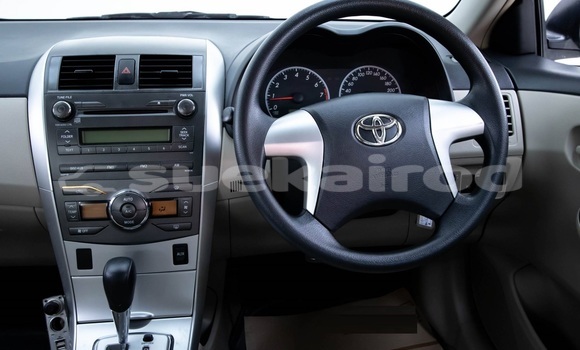 Buy Used Toyota Altis White Car in Bangkok in Bangkok Buy Used Toyota Altis White Car in Bangkok in Bangkok