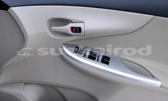 Buy Used Toyota Altis White Car in Bangkok in Bangkok Buy Used Toyota Altis White Car in Bangkok in Bangkok