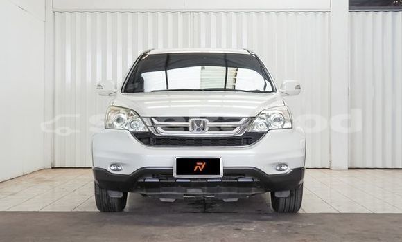 Buy Used Honda CR-V White Car in Bangkok in Bangkok Buy Used Honda CR-V White Car in Bangkok in Bangkok