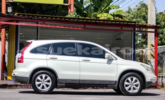 Buy Used Honda CR-V White Car in Bangkok in Bangkok Buy Used Honda CR-V White Car in Bangkok in Bangkok