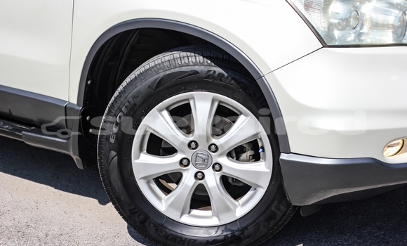 Buy Used Honda CR-V White Car in Bangkok in Bangkok Buy Used Honda CR-V White Car in Bangkok in Bangkok