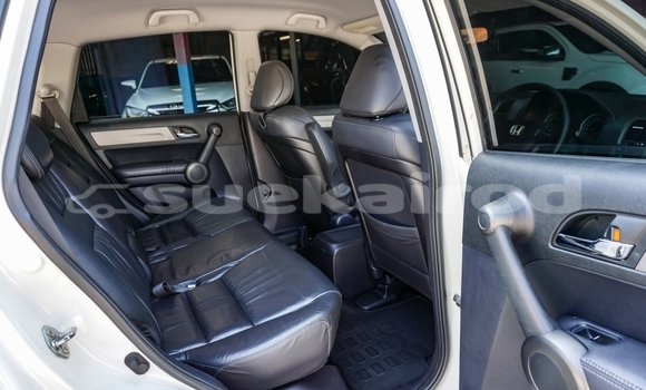 Buy Used Honda CR-V White Car in Bangkok in Bangkok Buy Used Honda CR-V White Car in Bangkok in Bangkok