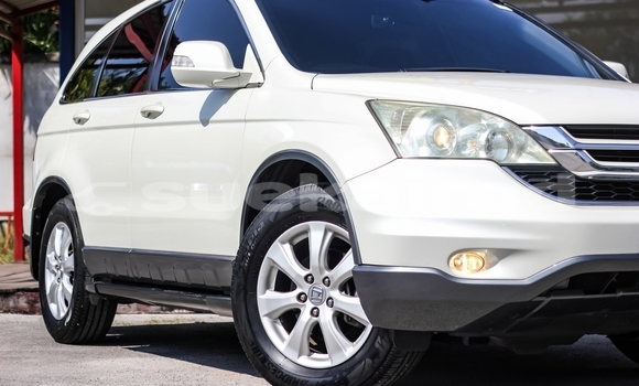 Buy Used Honda CR-V White Car in Bangkok in Bangkok Buy Used Honda CR-V White Car in Bangkok in Bangkok