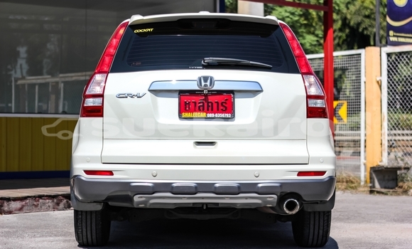 Buy Used Honda CR-V White Car in Bangkok in Bangkok Buy Used Honda CR-V White Car in Bangkok in Bangkok