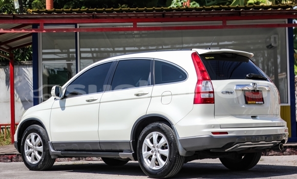 Buy Used Honda CR-V White Car in Bangkok in Bangkok Buy Used Honda CR-V White Car in Bangkok in Bangkok