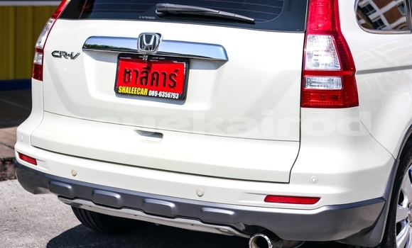 Buy Used Honda CR-V White Car in Bangkok in Bangkok Buy Used Honda CR-V White Car in Bangkok in Bangkok