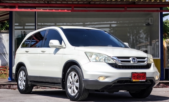 Buy Used Honda CR-V White Car in Bangkok in Bangkok Buy Used Honda CR-V White Car in Bangkok in Bangkok