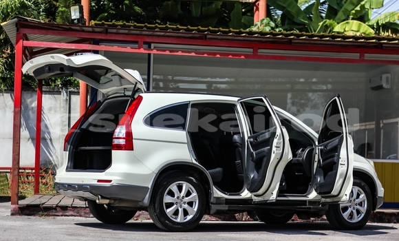 Buy Used Honda CR-V White Car in Bangkok in Bangkok Buy Used Honda CR-V White Car in Bangkok in Bangkok