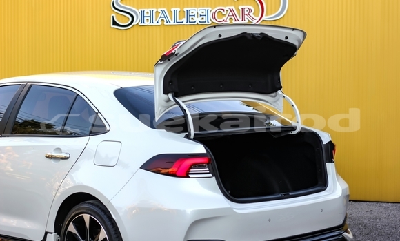 Buy Used Toyota Corolla Altis White Car in Bangkok in Bangkok Buy Used Toyota Corolla Altis White Car in Bangkok in Bangkok