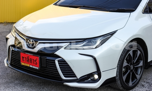 Buy Used Toyota Corolla Altis White Car in Bangkok in Bangkok Buy Used Toyota Corolla Altis White Car in Bangkok in Bangkok