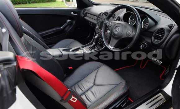 ซื้อ รถมือสอง Mercedes-Benz SLK-klasse ขาว รถยนต์ ใน %{เมือง} ใน กรุงเทพมหานคร ซื้อ รถมือสอง Mercedes-Benz SLK-klasse ขาว รถยนต์ ใน %{เมือง} ใน กรุงเทพมหานคร