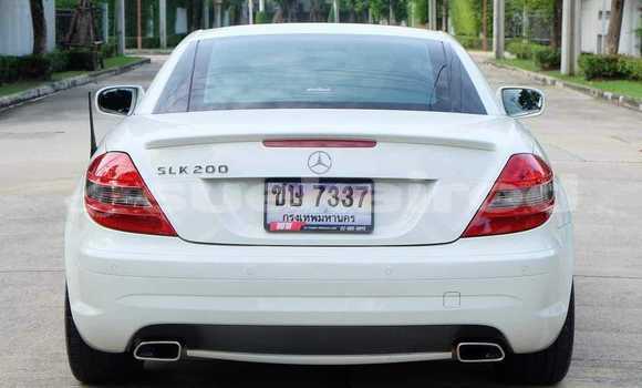 ซื้อ รถมือสอง Mercedes-Benz SLK-klasse ขาว รถยนต์ ใน %{เมือง} ใน กรุงเทพมหานคร ซื้อ รถมือสอง Mercedes-Benz SLK-klasse ขาว รถยนต์ ใน %{เมือง} ใน กรุงเทพมหานคร
