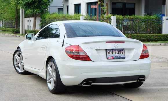 ซื้อ รถมือสอง Mercedes-Benz SLK-klasse ขาว รถยนต์ ใน %{เมือง} ใน กรุงเทพมหานคร ซื้อ รถมือสอง Mercedes-Benz SLK-klasse ขาว รถยนต์ ใน %{เมือง} ใน กรุงเทพมหานคร