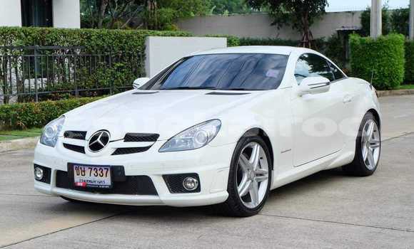 ซื้อ รถมือสอง Mercedes-Benz SLK-klasse ขาว รถยนต์ ใน %{เมือง} ใน กรุงเทพมหานคร ซื้อ รถมือสอง Mercedes-Benz SLK-klasse ขาว รถยนต์ ใน %{เมือง} ใน กรุงเทพมหานคร