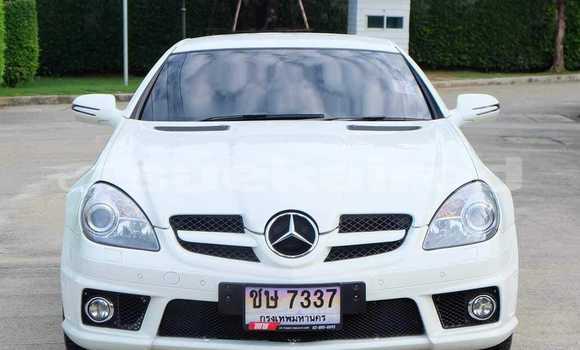 ซื้อ รถมือสอง Mercedes-Benz SLK-klasse ขาว รถยนต์ ใน %{เมือง} ใน กรุงเทพมหานคร ซื้อ รถมือสอง Mercedes-Benz SLK-klasse ขาว รถยนต์ ใน %{เมือง} ใน กรุงเทพมหานคร