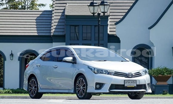 Buy Used Toyota Yaris White Car in Bangkok in Bangkok