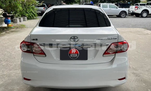 Buy Used Toyota Altis White Car in Bangkok in Bangkok Buy Used Toyota Altis White Car in Bangkok in Bangkok