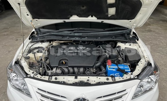 Buy Used Toyota Altis White Car in Bangkok in Bangkok Buy Used Toyota Altis White Car in Bangkok in Bangkok