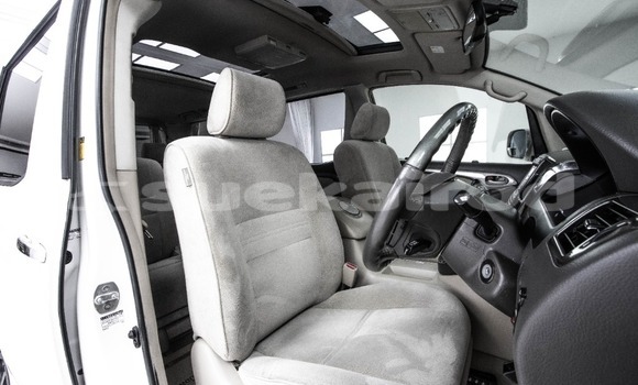 ซื้อ รถมือสอง Toyota Alphard ขาว รถยนต์ ใน %{เมือง} ใน กรุงเทพมหานคร ซื้อ รถมือสอง Toyota Alphard ขาว รถยนต์ ใน %{เมือง} ใน กรุงเทพมหานคร