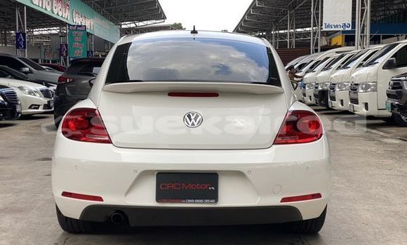 ซื้อ รถมือสอง Volkswagen Beetle ขาว รถยนต์ ใน %{เมือง} ใน กรุงเทพมหานคร ซื้อ รถมือสอง Volkswagen Beetle ขาว รถยนต์ ใน %{เมือง} ใน กรุงเทพมหานคร