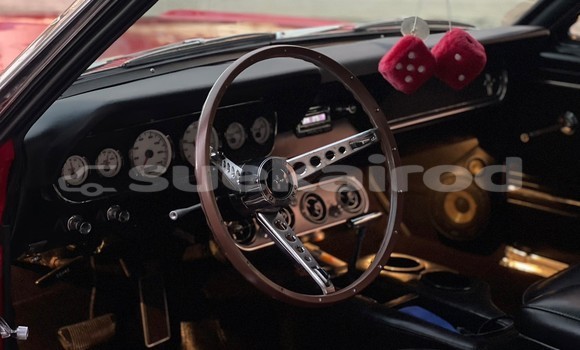 ซื้อ รถมือสอง Ford Mustang สีแดง รถยนต์ ใน %{เมือง} ใน กรุงเทพมหานคร ซื้อ รถมือสอง Ford Mustang สีแดง รถยนต์ ใน %{เมือง} ใน กรุงเทพมหานคร