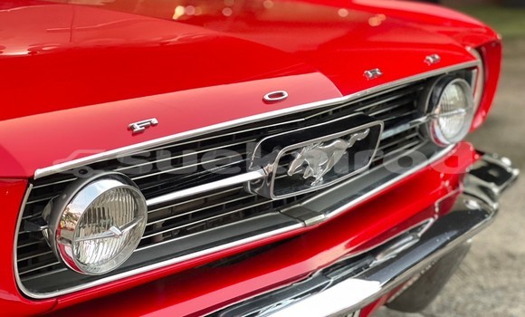 ซื้อ รถมือสอง Ford Mustang สีแดง รถยนต์ ใน %{เมือง} ใน กรุงเทพมหานคร ซื้อ รถมือสอง Ford Mustang สีแดง รถยนต์ ใน %{เมือง} ใน กรุงเทพมหานคร