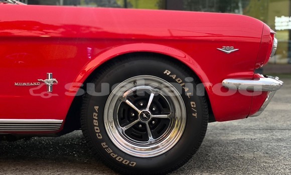 ซื้อ รถมือสอง Ford Mustang สีแดง รถยนต์ ใน %{เมือง} ใน กรุงเทพมหานคร ซื้อ รถมือสอง Ford Mustang สีแดง รถยนต์ ใน %{เมือง} ใน กรุงเทพมหานคร