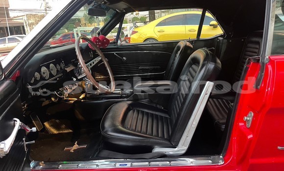 ซื้อ รถมือสอง Ford Mustang สีแดง รถยนต์ ใน %{เมือง} ใน กรุงเทพมหานคร ซื้อ รถมือสอง Ford Mustang สีแดง รถยนต์ ใน %{เมือง} ใน กรุงเทพมหานคร