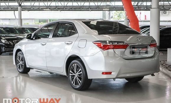 Buy Used Toyota Altis Silver Car in Bangkok in Bangkok Buy Used Toyota Altis Silver Car in Bangkok in Bangkok