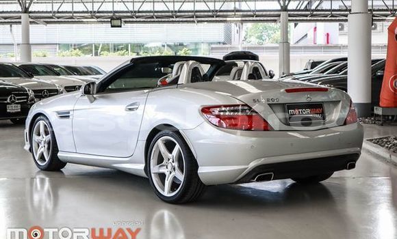 Buy Used Mercedes-Benz SLK-klasse Silver Car in Bangkok in Bangkok Buy Used Mercedes-Benz SLK-klasse Silver Car in Bangkok in Bangkok