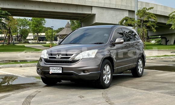 Buy Used Honda CR–V Brown Car in Bangkok in Bangkok