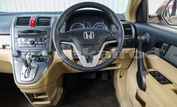 ซื้อ รถมือสอง Honda CR–V สีน้ำตาล รถยนต์ ใน %{เมือง} ใน กรุงเทพมหานคร ซื้อ รถมือสอง Honda CR–V สีน้ำตาล รถยนต์ ใน %{เมือง} ใน กรุงเทพมหานคร