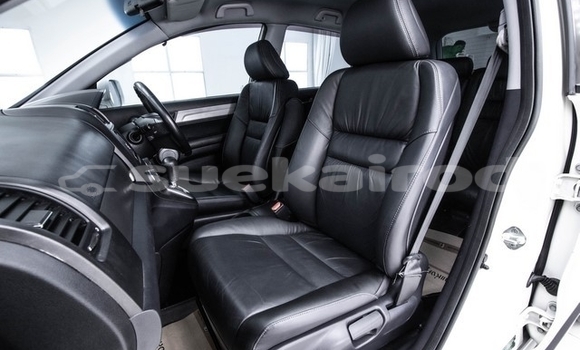 Buy Used Honda CR–V White Car in Bangkok in Bangkok Buy Used Honda CR–V White Car in Bangkok in Bangkok