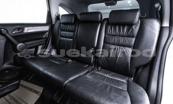 Buy Used Honda CR–V White Car in Bangkok in Bangkok Buy Used Honda CR–V White Car in Bangkok in Bangkok