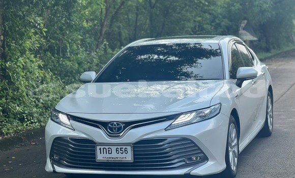 Buy Used Toyota Camry White Car in Bangkok in Bangkok