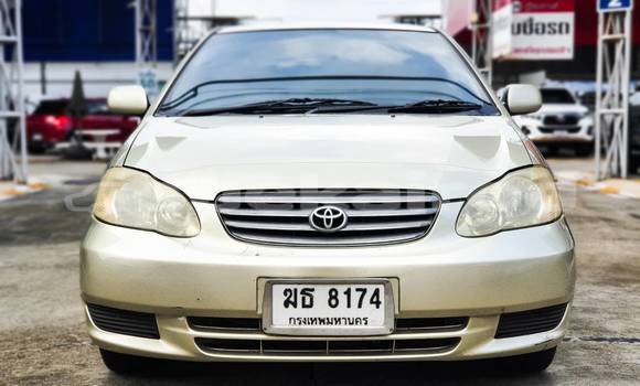 ซื้อ รถมือสอง Toyota Altis อื่น ๆ รถยนต์ ใน %{เมือง} ใน กรุงเทพมหานคร ซื้อ รถมือสอง Toyota Altis อื่น ๆ รถยนต์ ใน %{เมือง} ใน กรุงเทพมหานคร