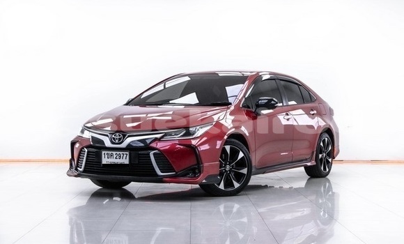 Buy Used Toyota Altis Red Car in Bangkok in Bangkok