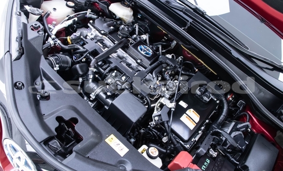 ซื้อ รถมือสอง Toyota C-HR สีแดง รถยนต์ ใน %{เมือง} ใน กรุงเทพมหานคร ซื้อ รถมือสอง Toyota C-HR สีแดง รถยนต์ ใน %{เมือง} ใน กรุงเทพมหานคร