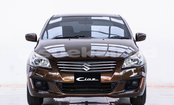 Buy Used Suzuki Ciaz Brown Car in Bangkok in Bangkok Buy Used Suzuki Ciaz Brown Car in Bangkok in Bangkok