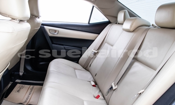 ซื้อ รถมือสอง Toyota Altis ขาว รถยนต์ ใน %{เมือง} ใน กรุงเทพมหานคร ซื้อ รถมือสอง Toyota Altis ขาว รถยนต์ ใน %{เมือง} ใน กรุงเทพมหานคร