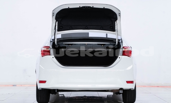 ซื้อ รถมือสอง Toyota Altis ขาว รถยนต์ ใน %{เมือง} ใน กรุงเทพมหานคร ซื้อ รถมือสอง Toyota Altis ขาว รถยนต์ ใน %{เมือง} ใน กรุงเทพมหานคร