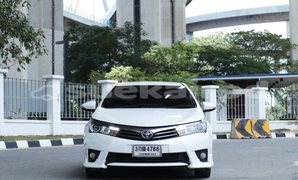 Buy Used Toyota Altis White Car in Bangkok in Bangkok Buy Used Toyota Altis White Car in Bangkok in Bangkok