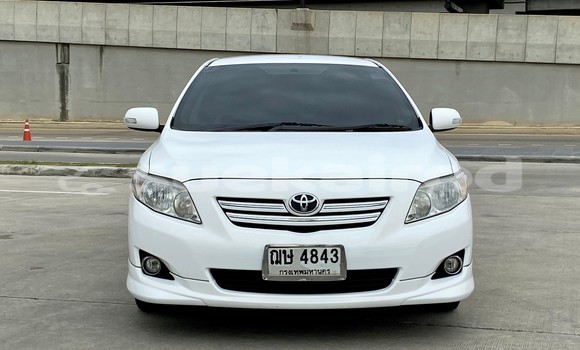 Buy Used Toyota Altis White Car in Bangkok in Bangkok Buy Used Toyota Altis White Car in Bangkok in Bangkok