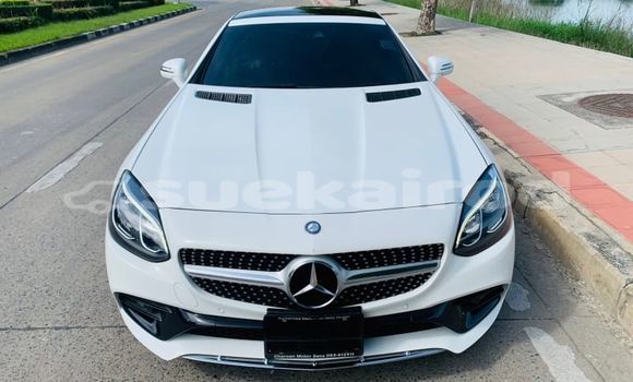 ซื้อ รถมือสอง Mercedes-Benz SLC-klasse AMG ขาว รถยนต์ ใน %{เมือง} ใน กรุงเทพมหานคร ซื้อ รถมือสอง Mercedes-Benz SLC-klasse AMG ขาว รถยนต์ ใน %{เมือง} ใน กรุงเทพมหานคร