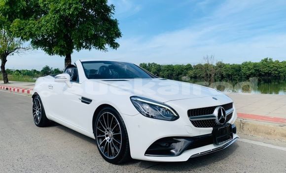 ซื้อ รถมือสอง Mercedes-Benz SLC-klasse AMG ขาว รถยนต์ ใน %{เมือง} ใน กรุงเทพมหานคร ซื้อ รถมือสอง Mercedes-Benz SLC-klasse AMG ขาว รถยนต์ ใน %{เมือง} ใน กรุงเทพมหานคร