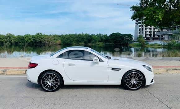 ซื้อ รถมือสอง Mercedes-Benz SLC-klasse AMG ขาว รถยนต์ ใน %{เมือง} ใน กรุงเทพมหานคร ซื้อ รถมือสอง Mercedes-Benz SLC-klasse AMG ขาว รถยนต์ ใน %{เมือง} ใน กรุงเทพมหานคร